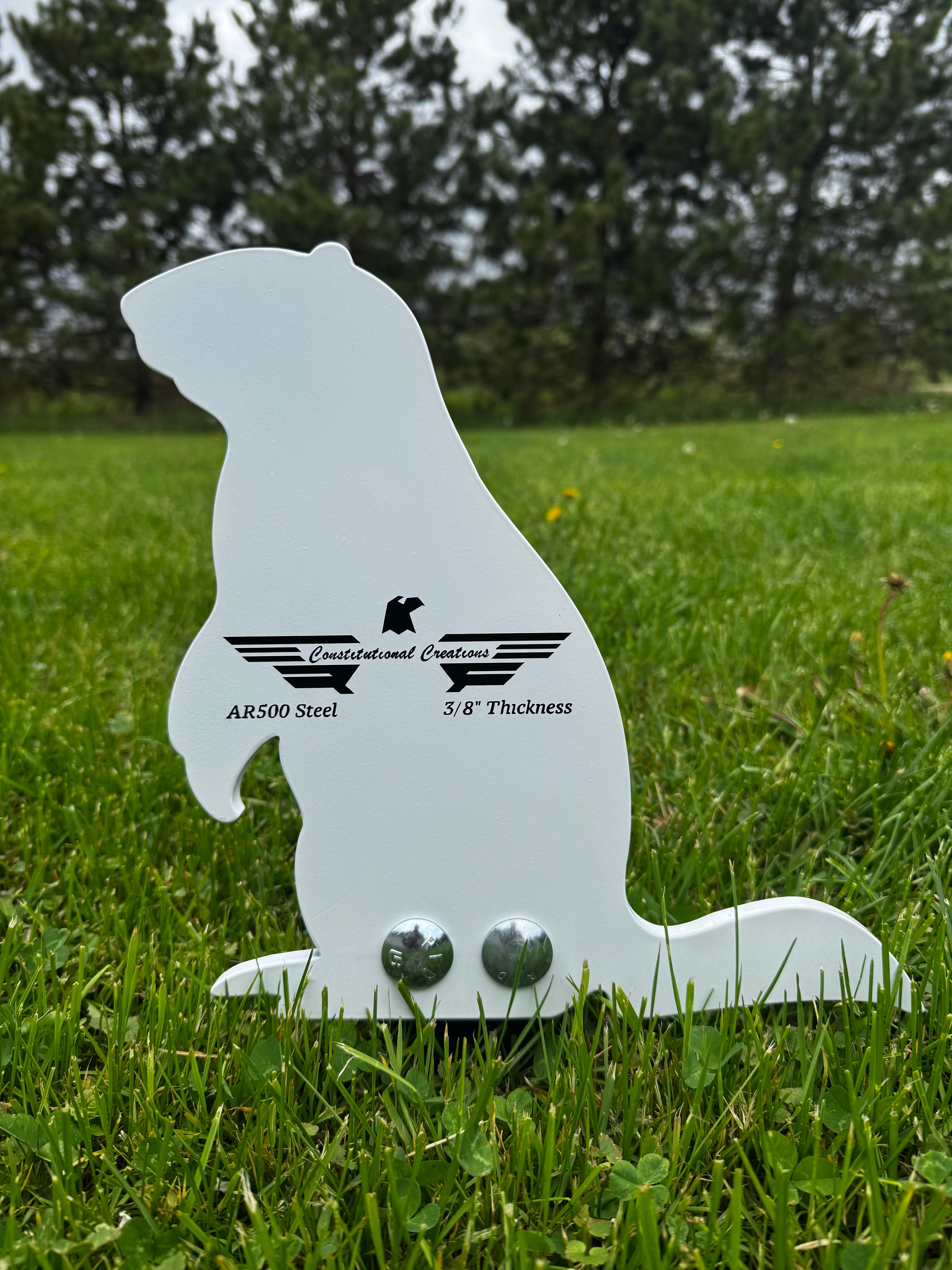 3/8" AR500 Groundhog Popper Target