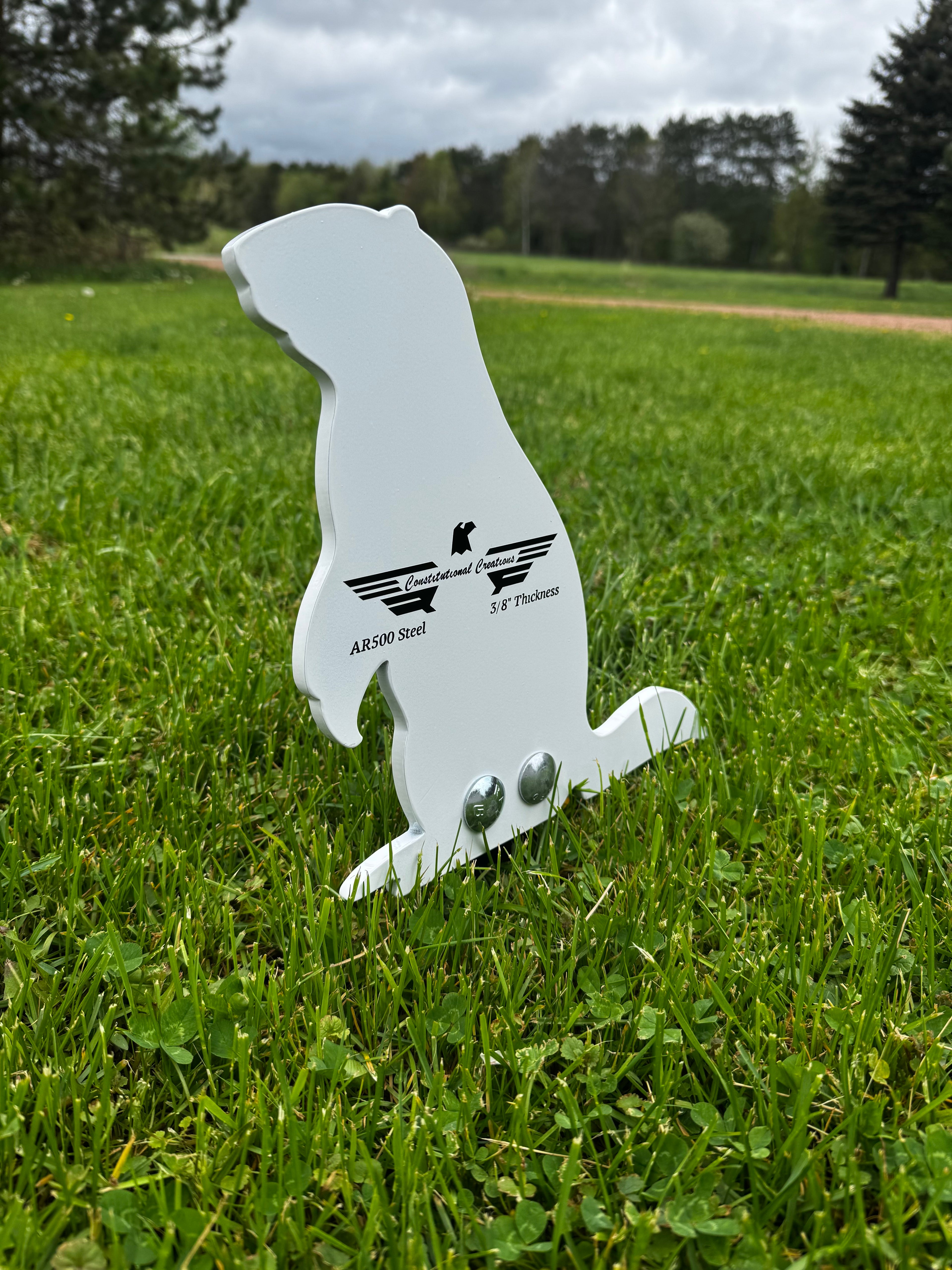 3/8" AR500 Groundhog Popper Target