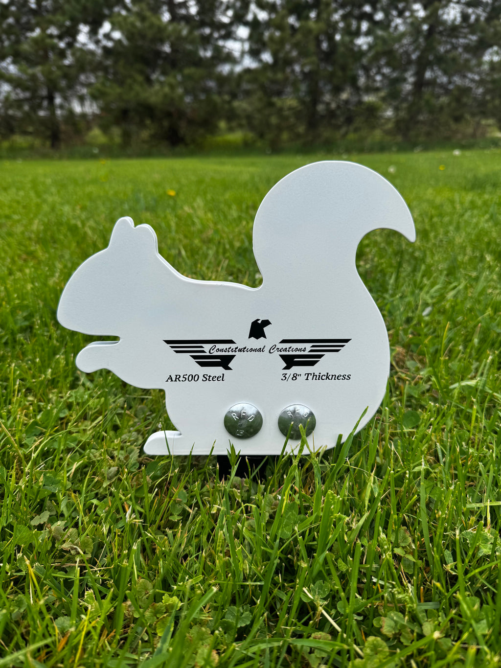 3/8" AR500 Squirrel Popper Target